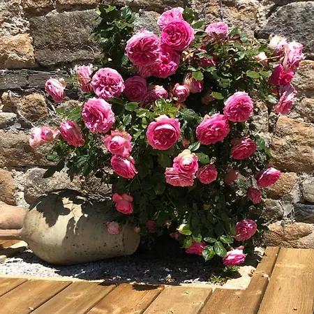 Le Clos De La Moriere * Mont-Dol